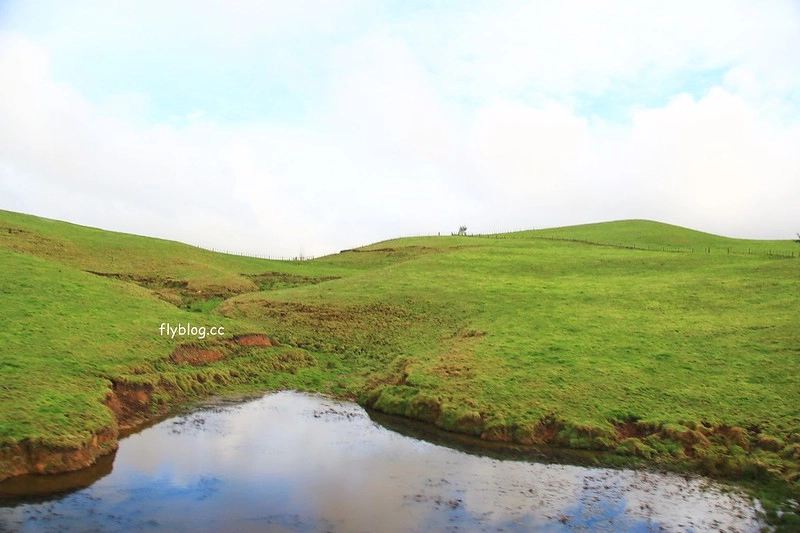 紐西蘭瑪塔瑪塔｜Hobbiton 哈比村．電影魔戒拍攝地，紐西蘭北島一日遊 @飛天璇的口袋