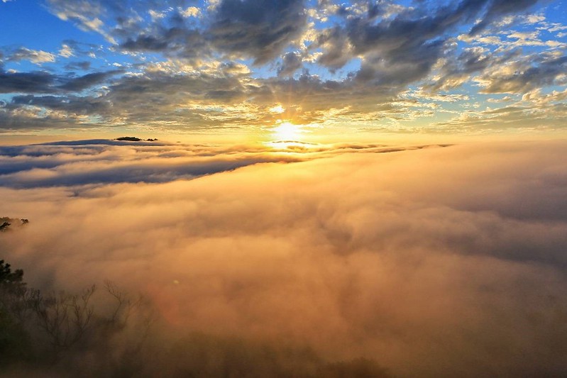 雲洞山莊二館｜三義地區最豪華的雲洞山莊民宿，到中部的阿里山看雲海和星空，享受自家食材好手藝 @飛天璇的口袋