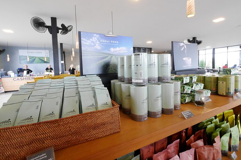 泰國清萊｜翠峰茶園 Chui Fong Tea Farm｜泰緬邊境最大的茶園，IG打卡超熱門景點，每日現做抹茶蛋糕必吃 @飛天璇的口袋