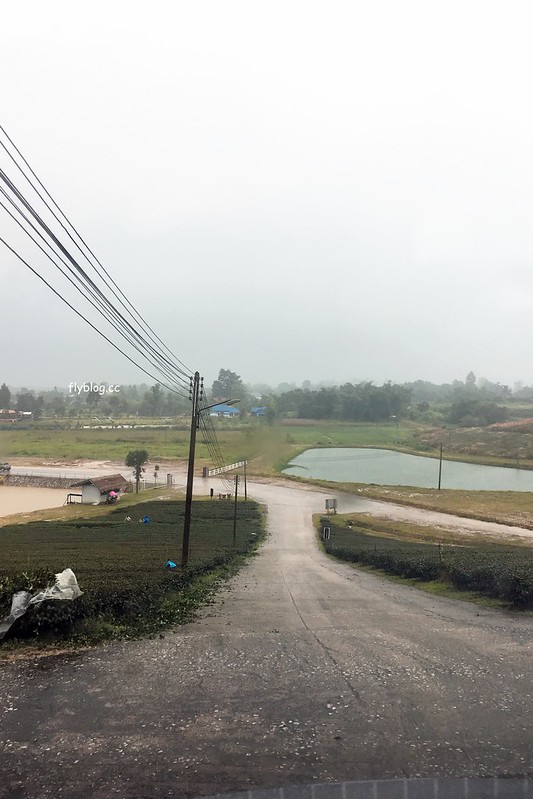 泰國清萊｜翠峰茶園 Chui Fong Tea Farm｜泰緬邊境最大的茶園，IG打卡超熱門景點，每日現做抹茶蛋糕必吃 @飛天璇的口袋