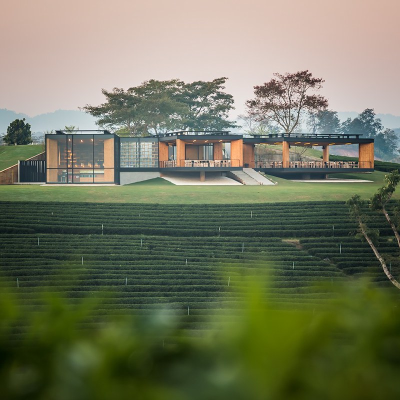 泰國清萊｜翠峰茶園 Chui Fong Tea Farm｜泰緬邊境最大的茶園，IG打卡超熱門景點，每日現做抹茶蛋糕必吃 @飛天璇的口袋