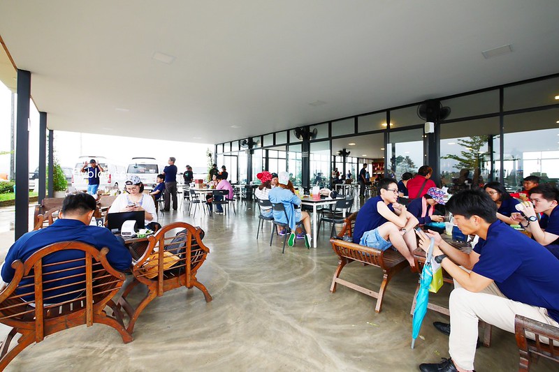 泰國清萊｜翠峰茶園 Chui Fong Tea Farm｜泰緬邊境最大的茶園，IG打卡超熱門景點，每日現做抹茶蛋糕必吃 @飛天璇的口袋