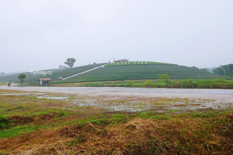 泰國清萊｜翠峰茶園 Chui Fong Tea Farm｜泰緬邊境最大的茶園，IG打卡超熱門景點，每日現做抹茶蛋糕必吃 @飛天璇的口袋