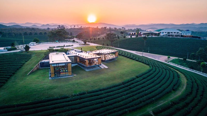 泰國清萊｜翠峰茶園 Chui Fong Tea Farm｜泰緬邊境最大的茶園，IG打卡超熱門景點，每日現做抹茶蛋糕必吃 @飛天璇的口袋
