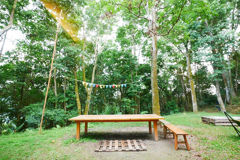 【苗栗三義】緩慢尋路綠波浪，投進森林的環抱，享受大自然的交響樂，讓心靈沈澱人也放空 @飛天璇的口袋