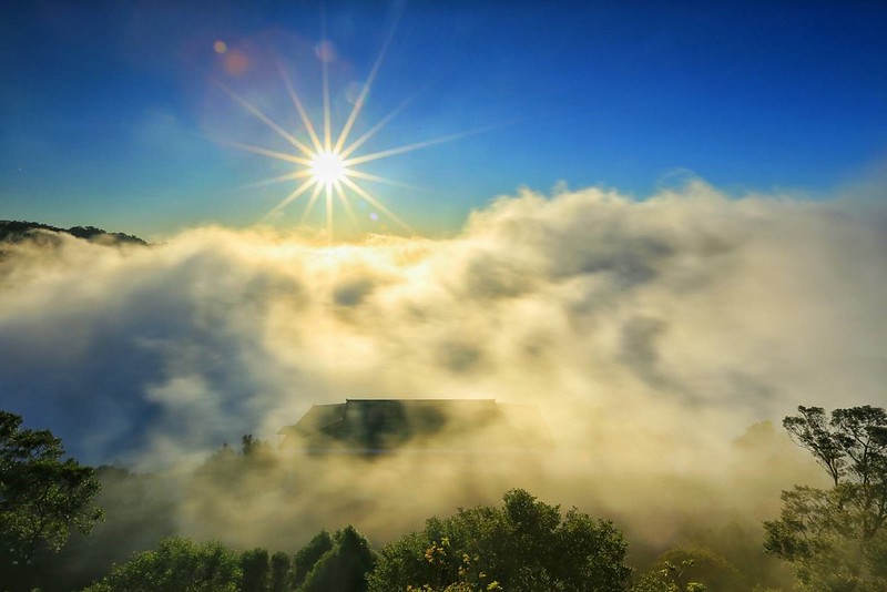 雲洞山莊二館｜三義地區最豪華的雲洞山莊民宿，到中部的阿里山看雲海和星空，享受自家食材好手藝 @飛天璇的口袋