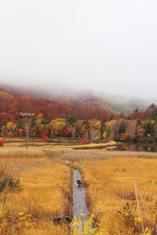 日本秋田｜八幡平國家公園．秋田最美楓葉季在大沼，分享交通方式和周邊景點 @飛天璇的口袋