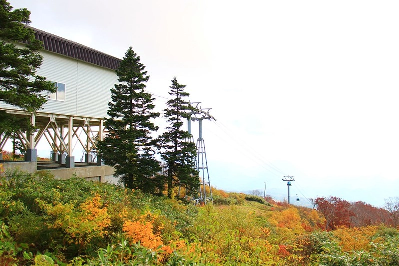 日本秋田｜森吉山阿仁滑雪場．一年四季有不同的美景，秋天楓紅盛況和交通方式 @飛天璇的口袋