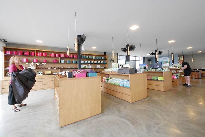 泰國清萊｜翠峰茶園 Chui Fong Tea Farm｜泰緬邊境最大的茶園，IG打卡超熱門景點，每日現做抹茶蛋糕必吃 @飛天璇的口袋