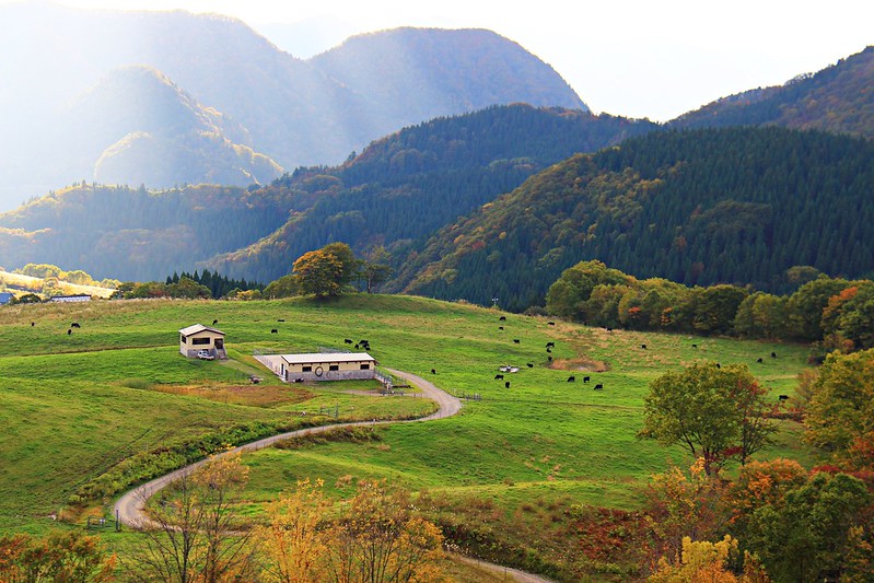 日本秋田｜森吉山阿仁滑雪場．一年四季有不同的美景，秋天楓紅盛況和交通方式 @飛天璇的口袋