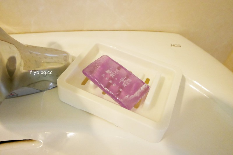 【苗栗三義】緩慢尋路綠波浪，投進森林的環抱，享受大自然的交響樂，讓心靈沈澱人也放空 @飛天璇的口袋