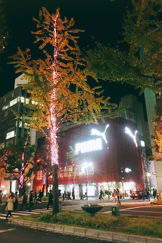 日本大阪｜大阪光之饗宴｜大阪光之饗宴，2019/11/4~ 2020/1/31，御堂筋(阪神前交差点~難波西口交差点) @飛天璇的口袋