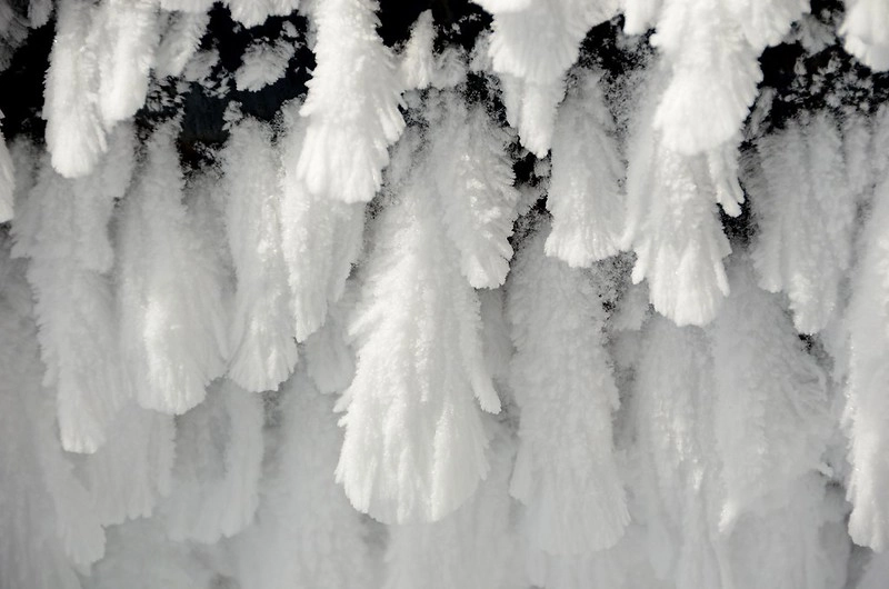 日本秋田｜森吉山阿仁滑雪場．一年四季有不同的美景，秋天楓紅盛況和交通方式 @飛天璇的口袋