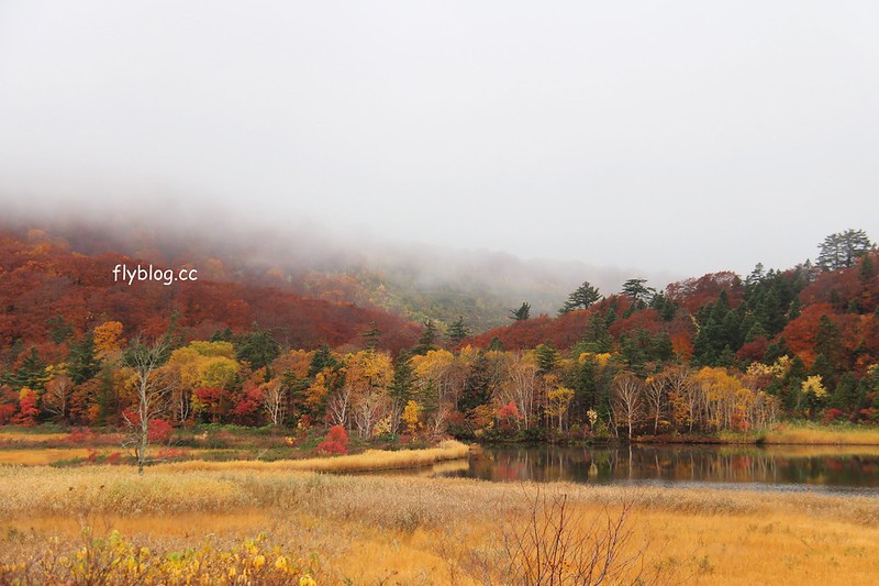 日本秋田｜八幡平國家公園．秋田最美楓葉季在大沼，分享交通方式和周邊景點 @飛天璇的口袋