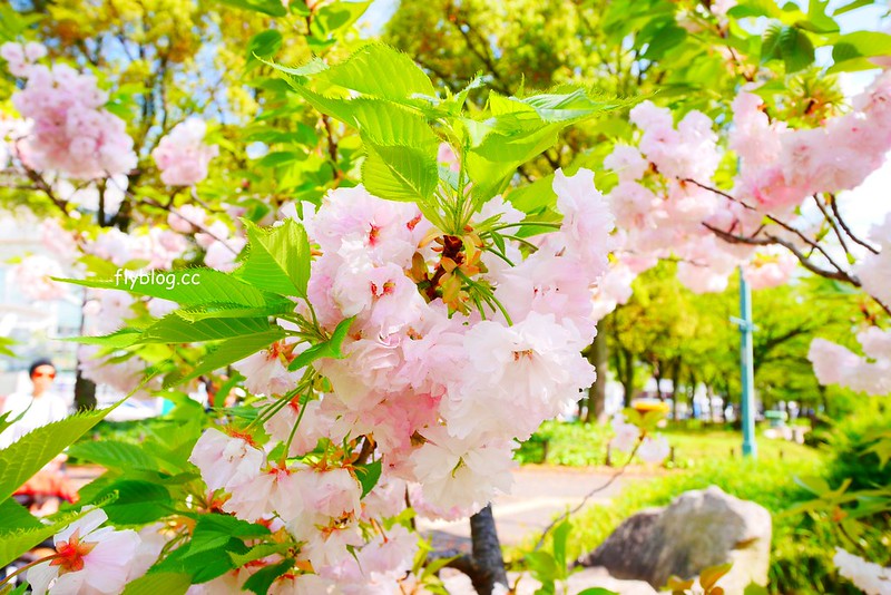 日本愛知｜名古屋必遊景點．電視塔、綠洲21、激安的殿堂、Sunshine Sakae摩天輪 @飛天璇的口袋