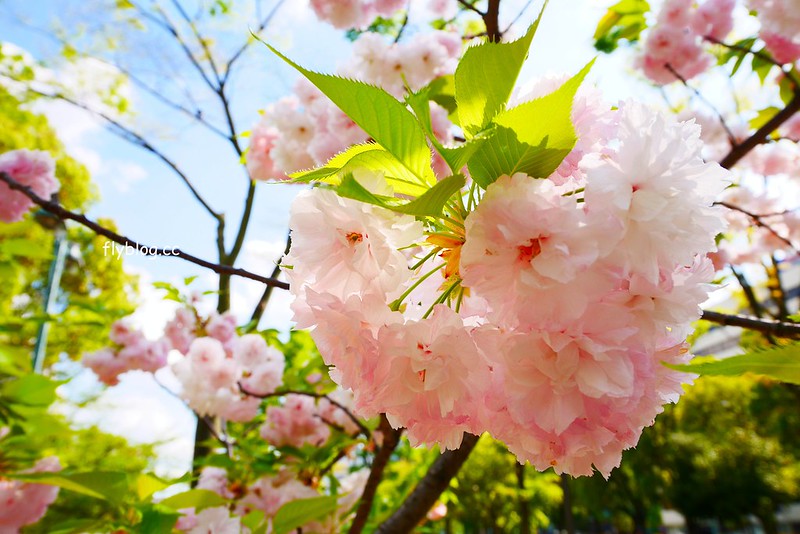 日本愛知｜名古屋必遊景點．電視塔、綠洲21、激安的殿堂、Sunshine Sakae摩天輪 @飛天璇的口袋