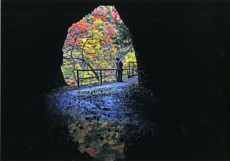 日本秋田｜抱返溪谷．最美楓葉季，東北著名賞楓景點，文章分享交通方式 @飛天璇的口袋