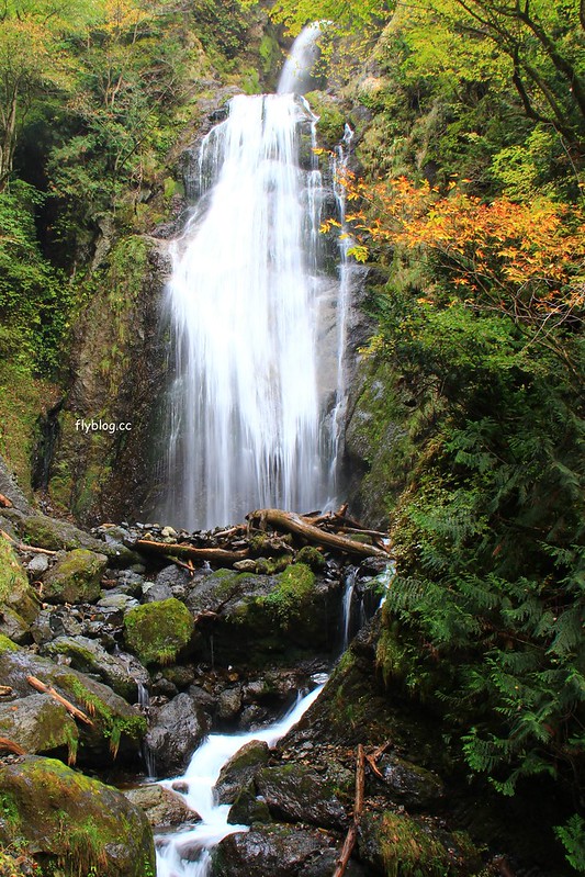 日本秋田｜抱返溪谷．最美楓葉季，東北著名賞楓景點，文章分享交通方式 @飛天璇的口袋