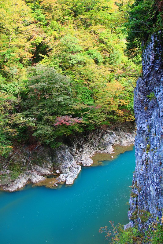 日本秋田｜抱返溪谷．最美楓葉季，東北著名賞楓景點，文章分享交通方式 @飛天璇的口袋