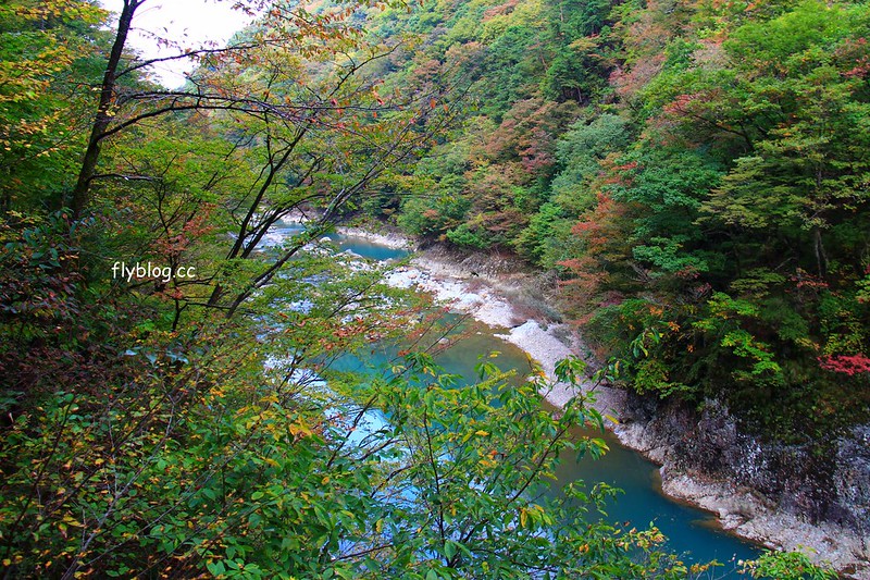日本秋田｜抱返溪谷．最美楓葉季，東北著名賞楓景點，文章分享交通方式 @飛天璇的口袋