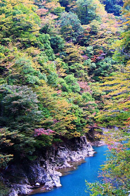 日本秋田｜抱返溪谷．最美楓葉季，東北著名賞楓景點，文章分享交通方式 @飛天璇的口袋