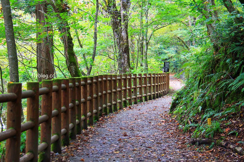 日本秋田｜抱返溪谷．最美楓葉季，東北著名賞楓景點，文章分享交通方式 @飛天璇的口袋