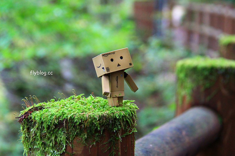 日本秋田｜抱返溪谷．最美楓葉季，東北著名賞楓景點，文章分享交通方式 @飛天璇的口袋