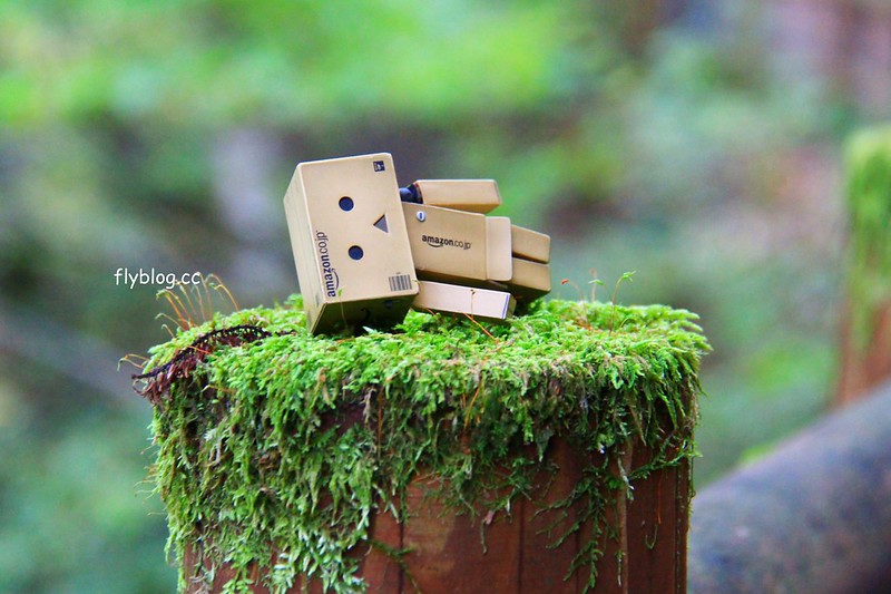 日本秋田｜抱返溪谷．最美楓葉季，東北著名賞楓景點，文章分享交通方式 @飛天璇的口袋