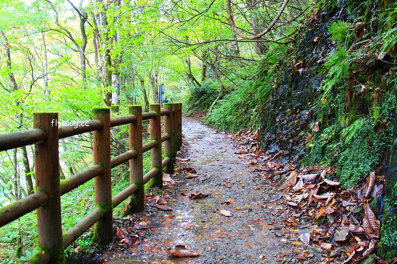 日本秋田｜抱返溪谷．最美楓葉季，東北著名賞楓景點，文章分享交通方式 @飛天璇的口袋