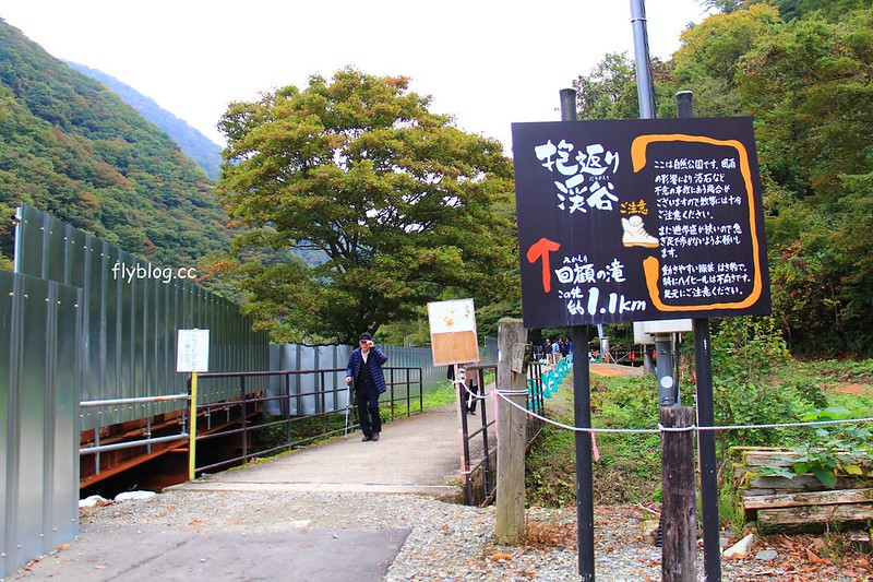 日本秋田｜抱返溪谷．最美楓葉季，東北著名賞楓景點，文章分享交通方式 @飛天璇的口袋