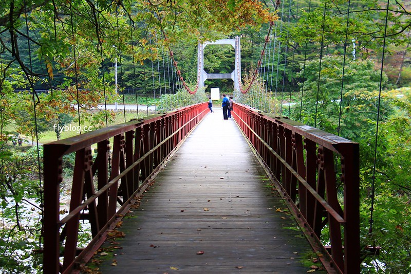 日本秋田｜抱返溪谷．最美楓葉季，東北著名賞楓景點，文章分享交通方式 @飛天璇的口袋