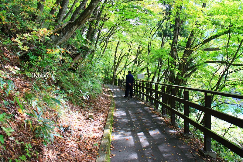 日本秋田｜抱返溪谷．最美楓葉季，東北著名賞楓景點，文章分享交通方式 @飛天璇的口袋
