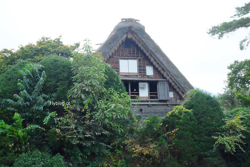 日本岐阜｜合掌村．遇見秋天的浪漫，名古屋到合掌村交通方式，美食餐廳推薦 @飛天璇的口袋