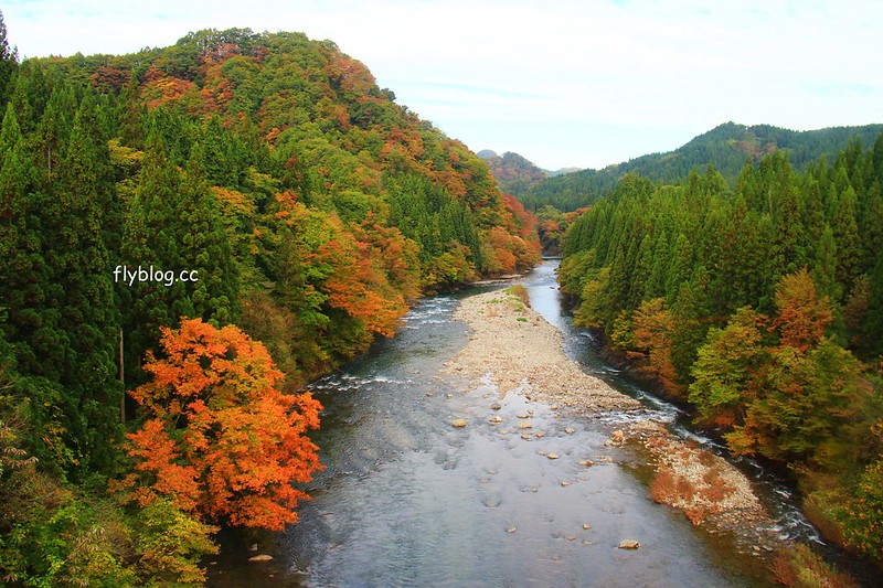 日本秋田｜秋田內陸線-阿仁合&rarr;角館．有秋田美人線之稱的鐵道，鐵道迷必追的東北必訪景點 @飛天璇的口袋