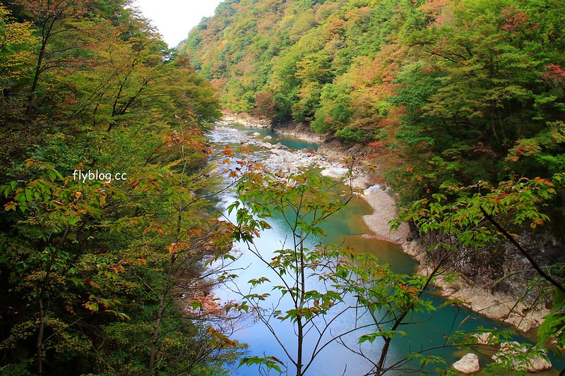 日本秋田｜抱返溪谷．最美楓葉季，東北著名賞楓景點，文章分享交通方式 @飛天璇的口袋
