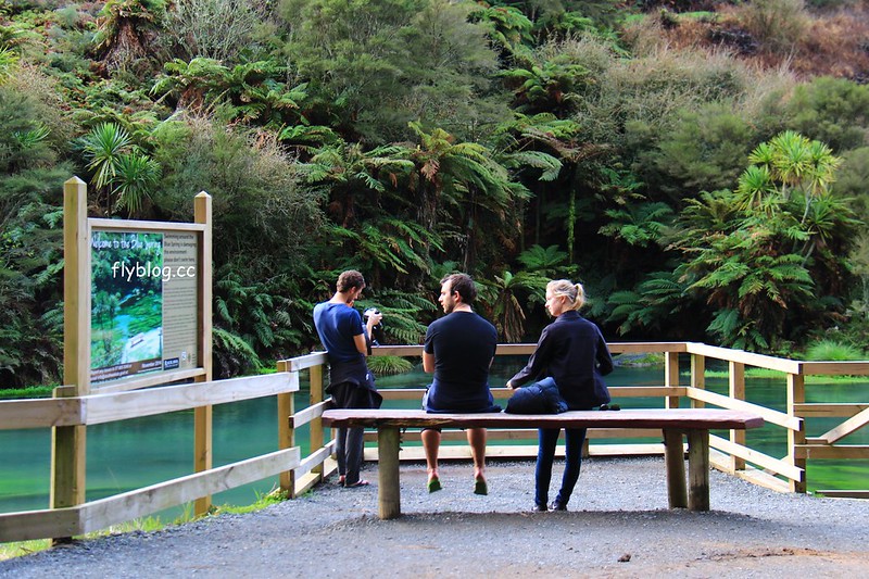 紐西蘭漢密爾頓｜藍泉 Blue Spring Putaruru．紐西蘭北島的神秘景點，清澈夢幻的藍色泉水，紐西蘭70%的瓶裝水出處 @飛天璇的口袋