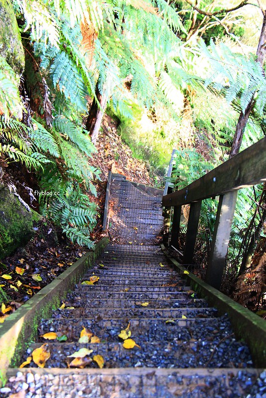 紐西蘭漢密爾頓｜藍泉 Blue Spring Putaruru．紐西蘭北島的神秘景點，清澈夢幻的藍色泉水，紐西蘭70%的瓶裝水出處 @飛天璇的口袋