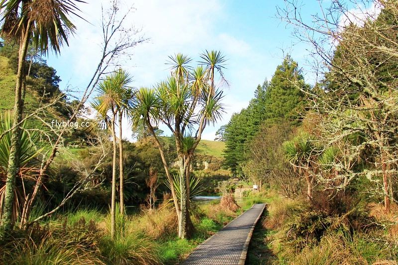 紐西蘭漢密爾頓｜藍泉 Blue Spring Putaruru．紐西蘭北島的神秘景點，清澈夢幻的藍色泉水，紐西蘭70%的瓶裝水出處 @飛天璇的口袋