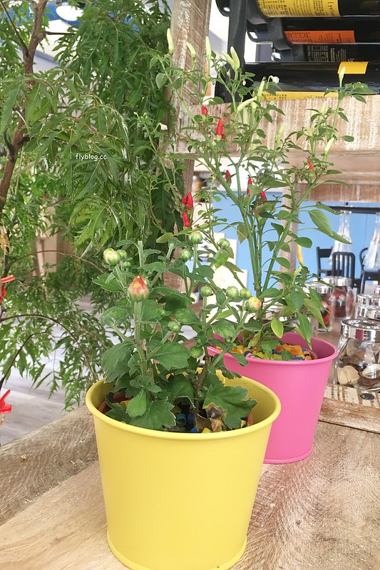 晨間食光  Le matin：簡單溫暖的鄉村風早午餐店，早午餐食材用心餐點好吃，10/31正式開幕 @飛天璇的口袋