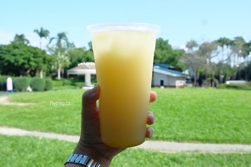 台中北區｜鮮打帶皮檸檬汁．整顆檸檬帶皮打成汁，採用無毒檸檬和3M淨水設備 @飛天璇的口袋