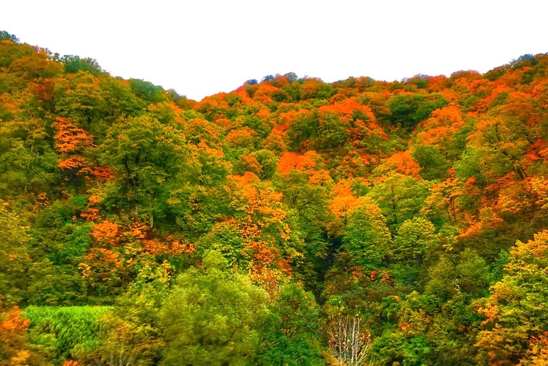 日本山形｜山形5天4夜行程推薦．秋天浪漫山形，飯店住宿、必吃美食、必玩景點、交通方式&hellip;行程分享 @飛天璇的口袋