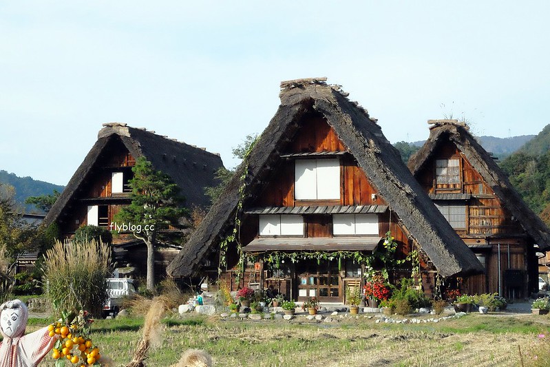日本岐阜｜合掌村．遇見秋天的浪漫，名古屋到合掌村交通方式，美食餐廳推薦 @飛天璇的口袋