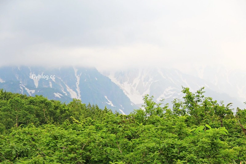 日本長野｜白馬八方，日本最大滑雪聖地，分享春夏秋冬四季不同美景，和附近交通住宿資訊 @飛天璇的口袋