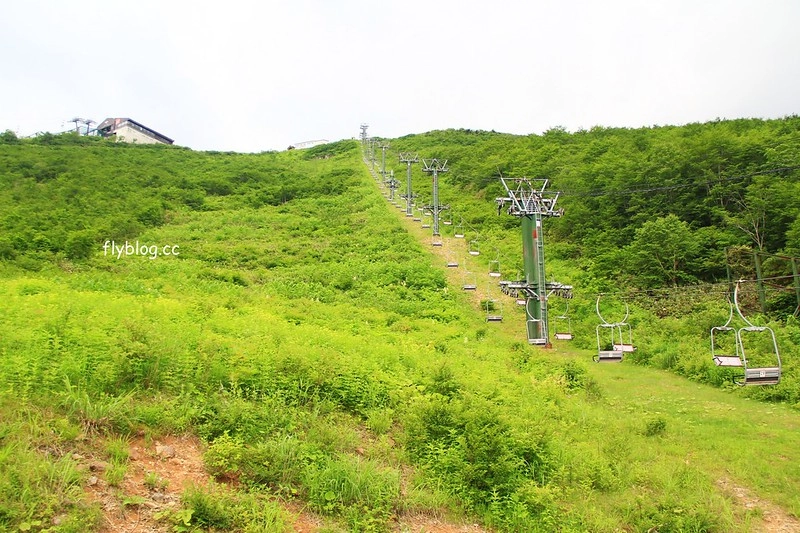 日本長野｜白馬八方，日本最大滑雪聖地，分享春夏秋冬四季不同美景，和附近交通住宿資訊 @飛天璇的口袋
