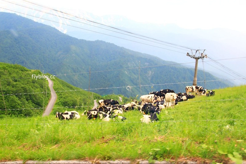 日本長野｜白馬八方，日本最大滑雪聖地，分享春夏秋冬四季不同美景，和附近交通住宿資訊 @飛天璇的口袋