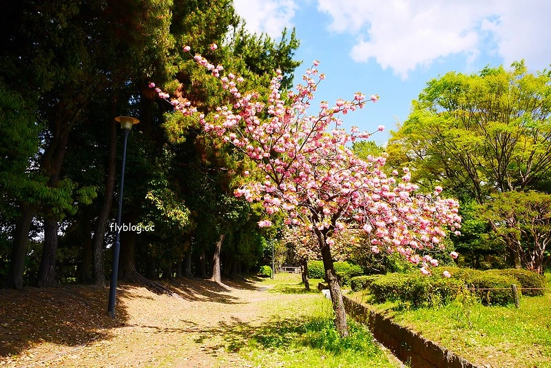 日本愛知｜名古屋城．日本三大名城之一，交通方式以及門票售價 @飛天璇的口袋