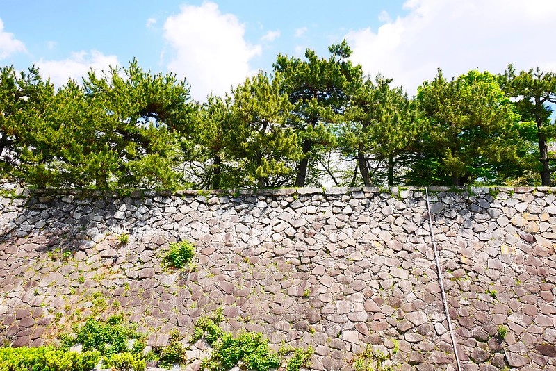 日本愛知｜名古屋城．日本三大名城之一，交通方式以及門票售價 @飛天璇的口袋