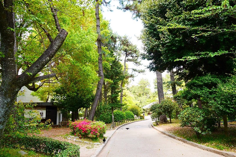 日本愛知｜名古屋城．日本三大名城之一，交通方式以及門票售價 @飛天璇的口袋