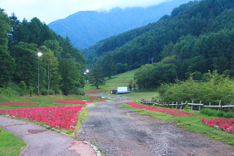 日本長野｜阿智村，日本第一星空村Star Village Achi，體驗嘆為觀止的星空饗宴，搭配畫神溫泉兩天一夜 @飛天璇的口袋