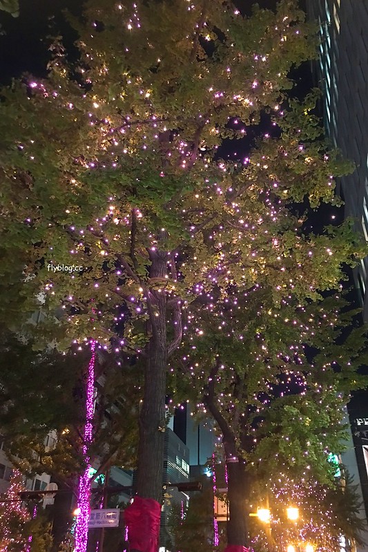 日本大阪｜大阪光之饗宴｜大阪光之饗宴，2019/11/4~ 2020/1/31，御堂筋(阪神前交差点~難波西口交差点) @飛天璇的口袋